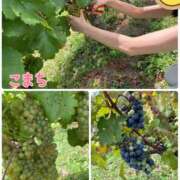 ヒメ日記 2025/06/11 23:30 投稿 こまち 奥鉄オクテツ奈良