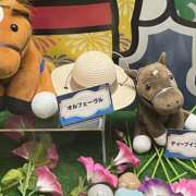 ヒメ日記 2026/01/03 10:48 投稿 こまち 奥鉄オクテツ奈良