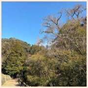 ヒメ日記 2025/03/14 07:50 投稿 かなた 奥鉄オクテツ奈良