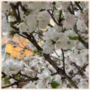 ヒメ日記 2025/03/30 14:20 投稿 かなた 奥鉄オクテツ奈良