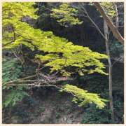 ヒメ日記 2025/04/17 11:10 投稿 かなた 奥鉄オクテツ奈良