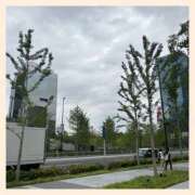 ヒメ日記 2025/05/10 16:05 投稿 かなた 奥鉄オクテツ奈良