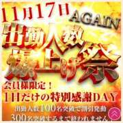 ヒメ日記 2025/11/14 08:08 投稿 かなた 奥鉄オクテツ奈良