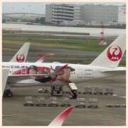 ヒメ日記 2025/11/26 17:03 投稿 かなた 奥鉄オクテツ奈良