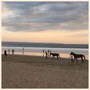 かなた 感謝✨ 奥鉄オクテツ奈良