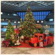 ヒメ日記 2025/12/22 20:30 投稿 かなた 奥鉄オクテツ奈良