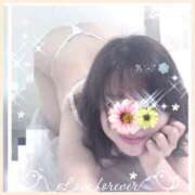 ヒメ日記 2026/02/06 10:54 投稿 かなた 奥鉄オクテツ奈良