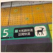 ヒメ日記 2026/02/13 16:59 投稿 かなた 奥鉄オクテツ奈良