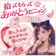 ヒメ日記 2026/02/22 11:17 投稿 かなた 奥鉄オクテツ奈良