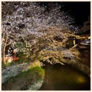 ヒメ日記 2026/03/29 21:56 投稿 かなた 奥鉄オクテツ奈良