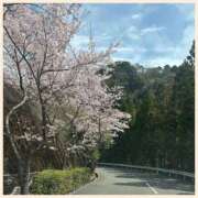 ヒメ日記 2026/04/06 13:37 投稿 かなた 奥鉄オクテツ奈良