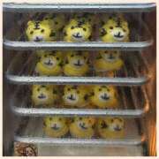 ヒメ日記 2026/04/10 23:47 投稿 かなた 奥鉄オクテツ奈良