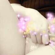 ヒメ日記 2025/02/13 08:29 投稿 こゆき 奥鉄オクテツ和歌山