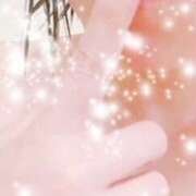 ヒメ日記 2025/06/07 15:23 投稿 こゆき 奥鉄オクテツ和歌山