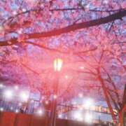 ヒメ日記 2025/04/13 07:33 投稿 こゆき 奥鉄オクテツ奈良