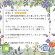 ヒメ日記 2024/06/09 09:19 投稿 あんな 奥鉄オクテツ和歌山