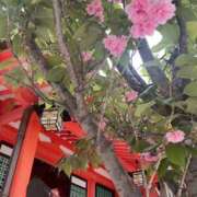 ヒメ日記 2025/04/28 10:08 投稿 あんな 奥鉄オクテツ和歌山