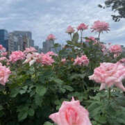 ヒメ日記 2025/10/22 12:04 投稿 あんな 奥鉄オクテツ和歌山