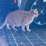 ヒメ日記 2025/11/11 21:12 投稿 あんな 奥鉄オクテツ和歌山