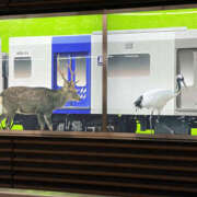 ヒメ日記 2026/08/14 22:20 投稿 あんな 奥鉄オクテツ和歌山