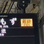 ヒメ日記 2026/08/14 23:55 投稿 あんな 奥鉄オクテツ和歌山