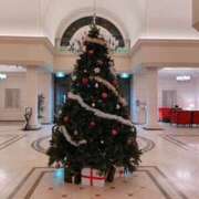 ヒメ日記 2024/12/25 00:19 投稿 あんな 奥鉄オクテツ奈良