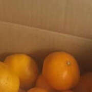 ヒメ日記 2025/03/10 04:02 投稿 あんな 奥鉄オクテツ奈良