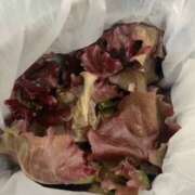 ヒメ日記 2025/06/13 14:23 投稿 あんな 奥鉄オクテツ奈良