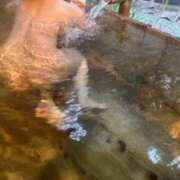 ヒメ日記 2025/06/21 14:05 投稿 あんな 奥鉄オクテツ奈良