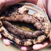 ヒメ日記 2025/09/17 15:02 投稿 あんな 奥鉄オクテツ奈良