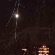 ヒメ日記 2024/12/15 20:25 投稿 さなえ 奥鉄オクテツ奈良