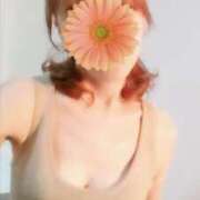 ヒメ日記 2025/05/01 09:36 投稿 さなえ 奥鉄オクテツ奈良