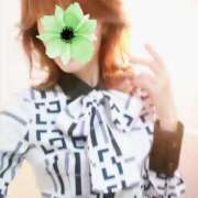 ヒメ日記 2025/06/12 09:45 投稿 さなえ 奥鉄オクテツ奈良