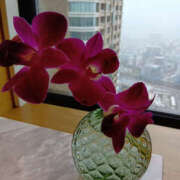 ヒメ日記 2025/07/22 18:54 投稿 さなえ 奥鉄オクテツ奈良