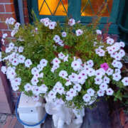 ヒメ日記 2025/08/23 18:10 投稿 さなえ 奥鉄オクテツ奈良