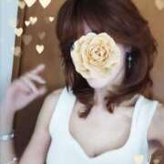 ヒメ日記 2025/08/24 09:29 投稿 さなえ 奥鉄オクテツ奈良