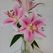 ヒメ日記 2025/08/31 17:38 投稿 さなえ 奥鉄オクテツ奈良