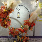 ヒメ日記 2025/10/25 18:30 投稿 さなえ 奥鉄オクテツ奈良