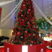 ヒメ日記 2025/11/23 15:15 投稿 さなえ 奥鉄オクテツ奈良