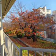 ヒメ日記 2025/12/14 20:28 投稿 さなえ 奥鉄オクテツ奈良