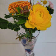 ヒメ日記 2026/01/18 18:47 投稿 さなえ 奥鉄オクテツ奈良