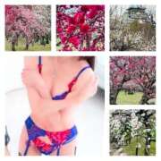 ヒメ日記 2025/03/14 14:55 投稿 あきな 奥鉄オクテツ奈良