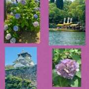 ヒメ日記 2025/06/30 21:30 投稿 あきな 奥鉄オクテツ奈良