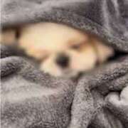 ヒメ日記 2025/11/11 20:30 投稿 あきな 奥鉄オクテツ奈良