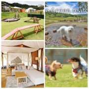 ヒメ日記 2026/01/12 08:20 投稿 あきな 奥鉄オクテツ奈良