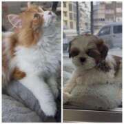 ヒメ日記 2026/01/28 11:55 投稿 あきな 奥鉄オクテツ奈良