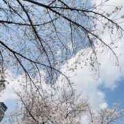 ヒメ日記 2026/04/02 20:45 投稿 あきな 奥鉄オクテツ奈良