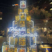 ヒメ日記 2025/11/14 18:50 投稿 おとは 奥鉄オクテツ奈良