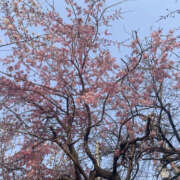 ヒメ日記 2025/03/30 23:00 投稿 なつき 奥鉄オクテツ奈良