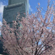 ヒメ日記 2025/04/03 19:25 投稿 なつき 奥鉄オクテツ奈良